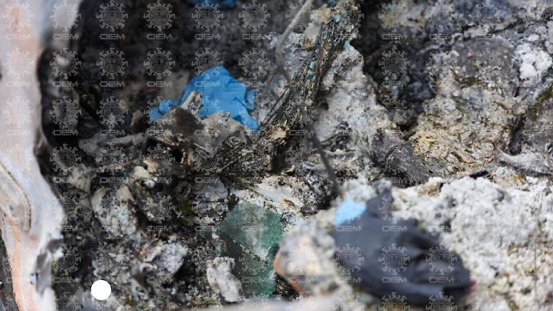 Francisco Rodríguez (6).jpeg